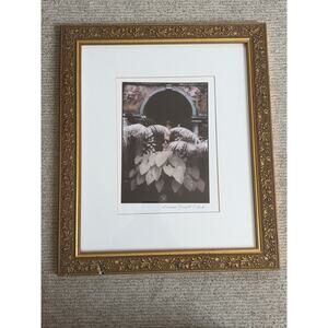 Sandra Russell Clark Framed/Matted Monochromatic (Purple-tones) Garden Photo - 2